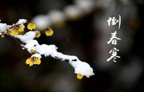 碳素制品之为什么大家不是水变暖了,而是石墨烯变暖了? 专家查明了原因